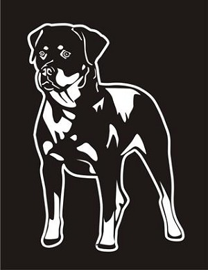 Rottweiler v4 Decal Sticker 