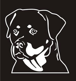 Rottweiler Head v2 Decal Sticker 