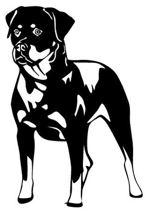 Rottweiler Decal Sticker 