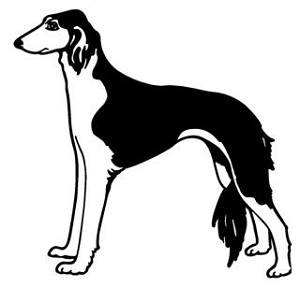 Saluki Decal Sticker 