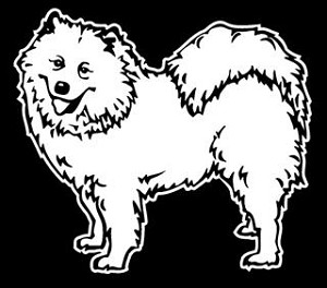 Samoyed Decal Sticker 