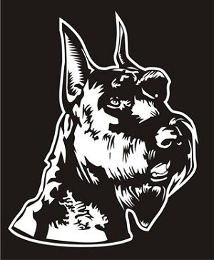 Schnauzer Head v3 Decal Sticker 