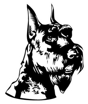 Schnauzer Head Decal Sticker 