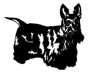 Scottish Terrier v2 Decal Sticker 