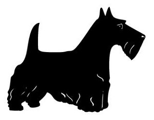 Scottish Terrier v3 Decal Sticker 