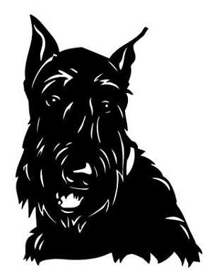 Scottish Terrier Head Decal Sticker 