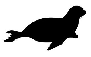 Sea Lion Silhouette  Decal Sticker 