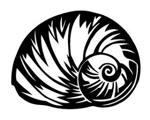 Sea Shell v1 Decal Sticker 
