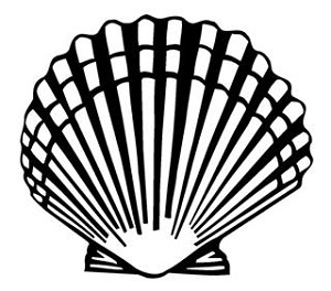 Sea Shell v2 Decal Sticker 