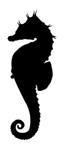 Seahorse Silhouette v2 Decal Sticker 
