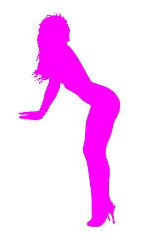 Sexy Girl Silhouette v26 Decal Sticker 