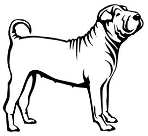 Shar-Pei Decal Sticker 
