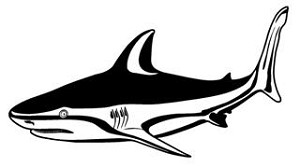 Shark v1 Decal Sticker 