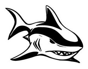 Shark v10 Decal Sticker 