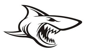 Shark v12 Decal Sticker 