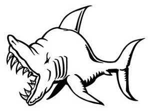 Shark v5 Decal Sticker 