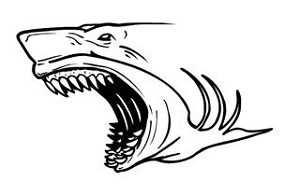 Shark Head v1 Decal Sticker 