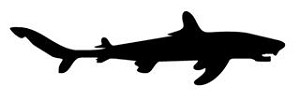 Shark Silhouette v1 Decal Sticker 
