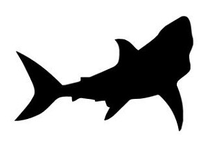 Shark Silhouette v2 Decal Sticker 