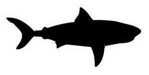 Shark Silhouette v3 Decal Sticker 