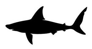 Shark Silhouette v4 Decal Sticker 