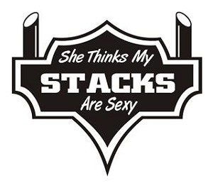 She Thinks My Stacks Are Sexy v2 Decal Sticker 