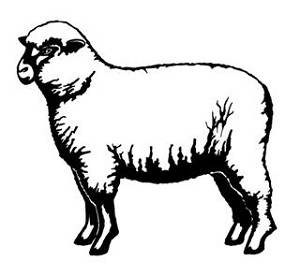 Sheep v2 Decal Sticker 