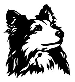 Shetland Sheepdog Head v2 Decal Sticker 
