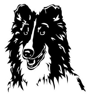 Shetland Sheepdog Head Decal Sticker 