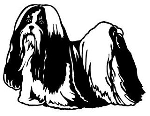 Shih Tzu v2 Decal Sticker 