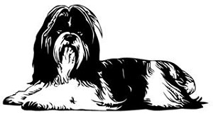 Shih Tzu Decal Sticker 