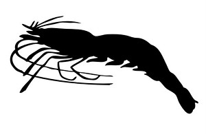 Shrimp Silhouette v1 Decal Sticker 