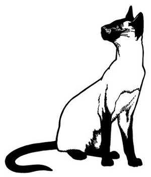 Siamese Cat Decal Sticker 