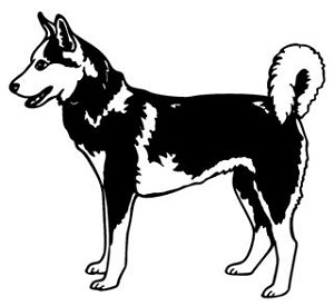 Siberian Husky v2 Decal Sticker 
