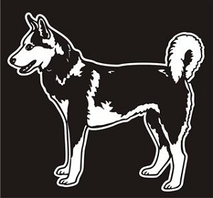 Siberian Husky v3 Decal Sticker 