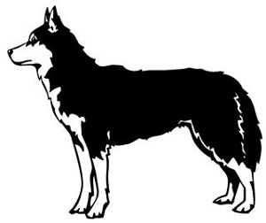 Siberian Husky Decal Sticker 