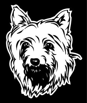 Silky Terrier Head Decal Sticker 