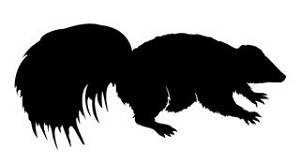 Skunk Silhouette  Decal Sticker 