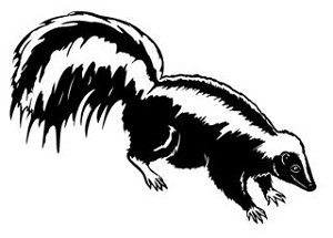 Skunk Decal Sticker 
