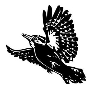 Spotted Woodpecker Decal Sticker 