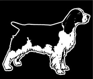 Springer Spaniel v2 Decal Sticker 