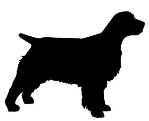 Springer Spaniel Silhouette Decal Sticker 
