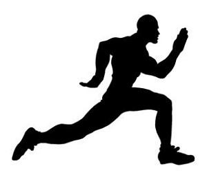 Sprinter Silhouette v2 Decal Sticker 