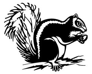 Squirrel v2 Decal Sticker 