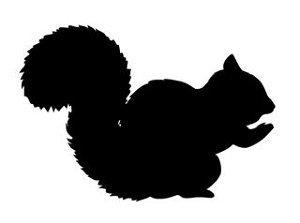 Squirrel Silhouette Decal Sticker 