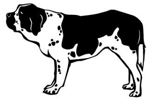 St Bernard Decal Sticker 