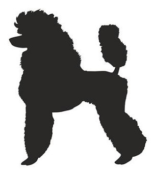 Standard Poodle Silhouette Decal Sticker 