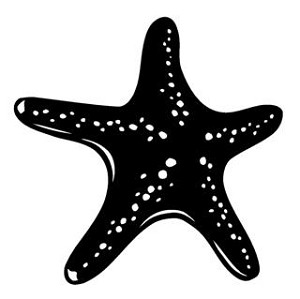 Star Fish Decal Sticker 