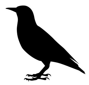Starling Silhouette Decal Sticker 