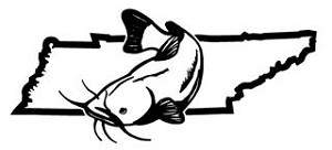 Tennessee Catfish v2 Decal Sticker 